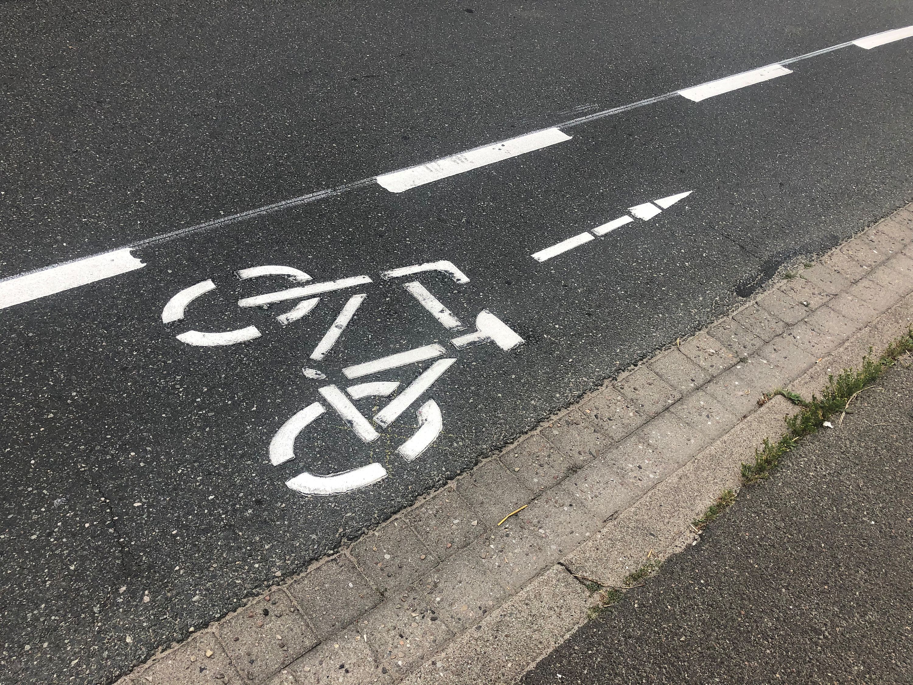 Foto des Schutzstreifens