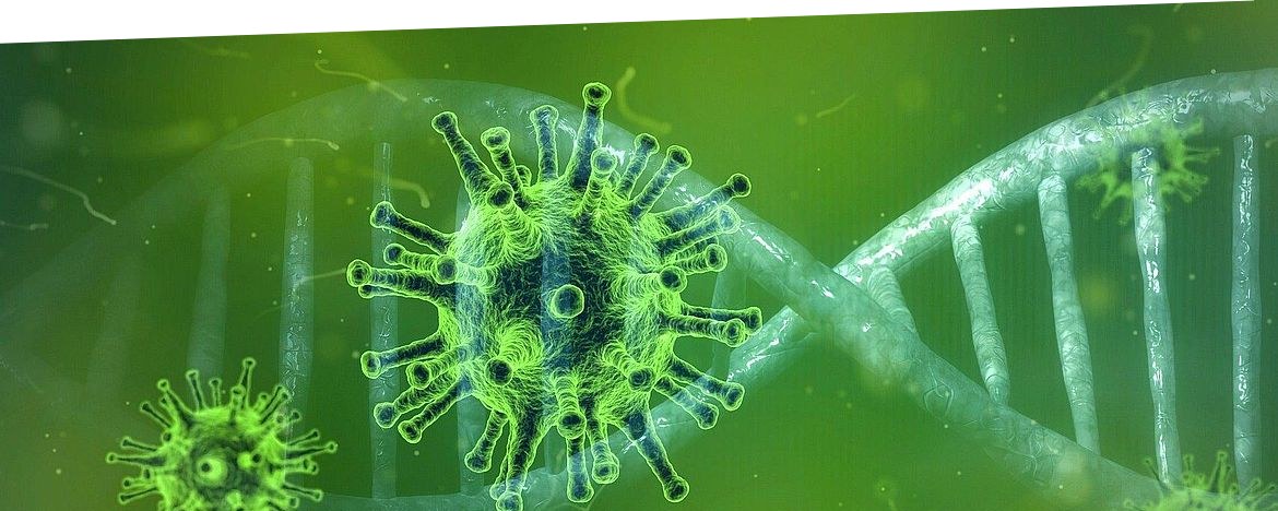 Corona Virus Ticker Heide De